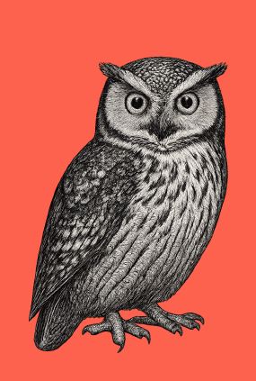 OCA Owl Training 2025